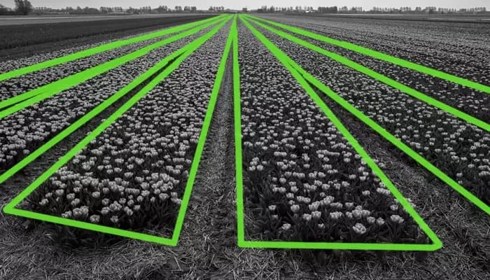 Smart Farming
