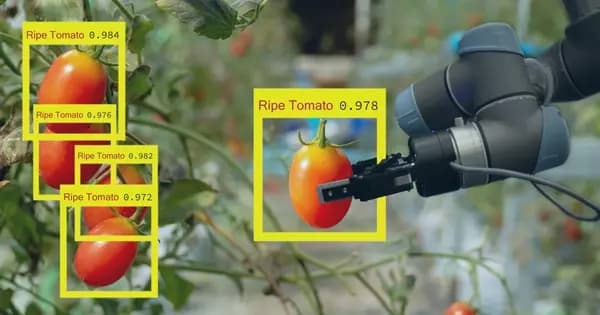 Evolva AI Impact on Agriculture